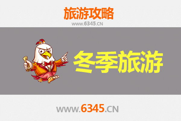 大连西岗区冬季旅游全攻略：浪漫海滨与城市文化的冰雪邂逅